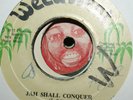Palmer Brothers - Jah Shall Conquer 7