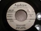 ROCKABILLY 45 DANNY LAMEGO Hickory Dickory Rock DJ HEAR