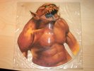 Metallica Jump In the Fire Rare Picture Disc UK LP