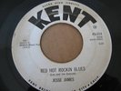 ROCKABILLY 45- JESSE JAMES - SOUTH GONNA RISE - KENT