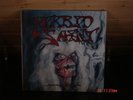 Morbid Saint - Spectrum Of Death