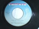 RARE NORTHERN SOUL 45- THE KINDLY SHEPHERDS