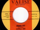 GUNGA DIN Snake Pit Crabcakes RARE RAW FUNK 45 * Listen