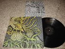 Circle Takes The Square LP-As The Roots Undo-Lyrics-NM