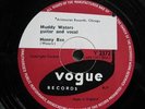 MUDDY WATERS: 'HONEY BEE' ON VOGUE V2372 E+