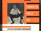 LITTLE STEVIE WONDER  TRIBUTE TO UNCLE RAY