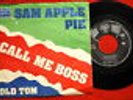 SAM APPLE PIE CALL ME BOSS 1973 RARE UNIQUE prog 7“ PS