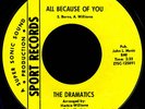 Rare Northern Soul 45 THE DRAMATICS Because on Sport