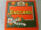 RARE ENGLAND GARDEN SHED LP ARISTA ORIGINAL 1977 PROG