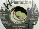 Desi Roots - Weedfields 7