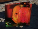 ALICE IN CHAINS 