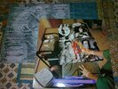 LP  CARCASS 