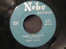Bobby Decker 45 NEBO Where I Long To Be RARE SOUL