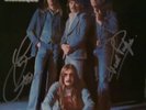 STATUS QUO BLUE FOR YOU SIGNED RECORD 6360128