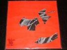 Animal Collective Hollinndagain LP Orig Pressing 1/300