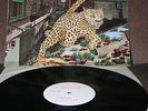 NUCLEUS - ALLEY CAT. (RARE, UK WHITE LABEL DEMO COPY)