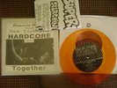 new york city hardcore revelation records sxe 7