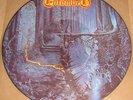 ENTOMBED Left Hand Path 12” Pic. LP PD Vinyl Record HTF
