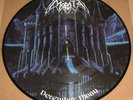 MORBID December Moon Ltd 12” Pic LP PD Vinyl Record HTF