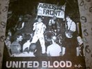 Agnostic Front United Blood 7
