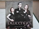 Blutengel - Winter Of My Life 7