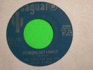 LEE CARLETON & GHOST RIDERS Loner Folk Garage 45 HEAR