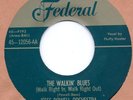 Rockabilly/Blues: FLUFFY HUNTER-The Walking Blues