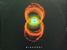 PEARL JAM Binaural 2x LP TRIPLE GATEFOLD BOOKLET