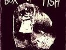 BOX OF FISH Slap Em LP OZ PUNK Birthday Party RARE '84