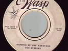 Rare Jamaican Rockabilly 7
