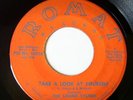 THE SOUND SYSTEM   60's NC Psych 45   ROMAR RECORDS