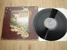 JACKSON HEIGHTS RAGAMUFFINS FOOL LP Vertigo Swirl Label