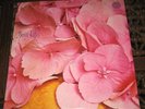 STILL LIFE - SAME - VERTIGO UK 71 /HOPELESSLY RARE ORIG