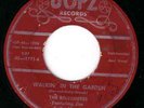 SCARCE ILL. GROUP ROCK AND ROLL  THE BELVEDERES ON JOPZ