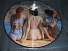 Pink Floyd RARE beauties picture disc
