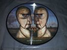 Pink Floyd RARE The Division Bell picture disc