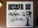 Husker Du - In a Free Land / What Do I Want? 7