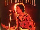 JIMI HENDRIX - LIVE AT THE ISLE OF WIGHT - 3 LPs - Mint
