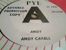 ANDY CAVELL andy UK PYE DEMO JOE MEEK RGM MINT#####
