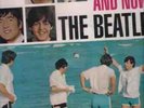The Beatles And Now Beatles Rare German Picture Disc LP