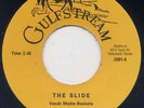 COOL ROCKABILLY BOP - RAY PATE & RHYTM ROCKETS - SLIDE