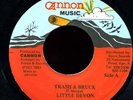 Little Devon - Trash And Bruck JA 45 Listen