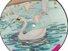 Boy Soprano Nonkina Swan Kagome Japan Picture Disc