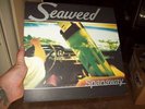 Seaweed Spanaway Original LP in GREAT Condition