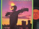 Sonic Youth BAD MOOD RISING Homestead LP w/ insert