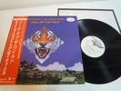 Ted Nugent Call Of The Wild White Label Japan LP OBI