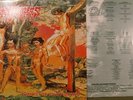 Agathocles * Thanks for your hostility LP * RARE GRIND