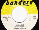 Rockabilly 45 BENNY INGRAM Jello Sal on Bandera