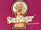 SoulSugar Vol.4 2LP