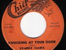 Blues/R&B 45 ELMORE JAMES Knocking At Your Door Chief